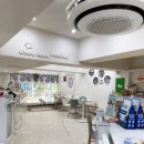 몽이애견미용 이미지