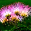 어떤 하루 이미지