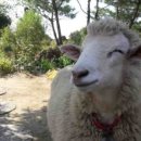 샘물농장 2 이미지