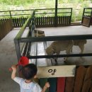 토담농장 이미지