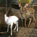 [영상운세] 2008년 06월12일 (음력05월09일.목요일) 이미지