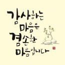 수니아트 이미지