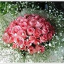 단지바우로 이미지