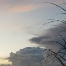 신진가스 이미지