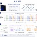 NISQ 환경에서의 XXZ 스핀 사슬 양자 퀀치 동역학: 엄밀 안정성 경계와 구조 생성 해석