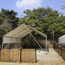 민트초코 - 천안시 서북구 검은들3길 48 | 애견동반 캠핑장 양구 민트초코캠핑장 C사이트 후기