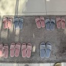 에이에스메디칼 | 광주안마의자 코지마 여름이벤트 안마의자