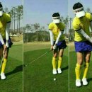 지영골프연습장 이미지