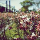 엔케이솔루션 이미지