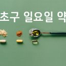 내곡숲약국 이미지