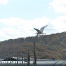 사교농장 이미지