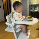 11650-7-4-1 | 싸이벡스 레모 하이체어 4 in 1 7개월 찐사용후기(내돈내산)