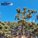 개성집 포천점 | 남양주 드라이브코스 다산 정약용 유적지 주차 및 입장 정보