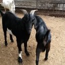 승희농장 이미지