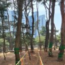 청룡병설유치원 이미지