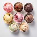 유심천건강랜드수영장 | 아부다비여행 호캉스 숙소 추천 잔나 부르즈 알 사랍 내돈내산 솔직 후기,스파,사우나,수영장 등