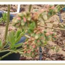 태훈농장 이미지