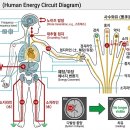 고고 힐링 제 1부 이미지