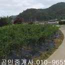 광산구-010 이미지
