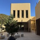 마지커피 | 디저트맛집, 수지카페 마지모우 친구랑 다녀온 솔직 후기