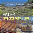 [국내여행] 2박3일 공주여행 2편 | 고마나루1999, 베이커리밤마을, 공산성, 고마열차