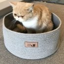힐링캣 쇼핑하우