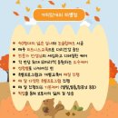 가치있개 | 분당애견유치원 같이할개 반려견 유치원 프로그램 맛보기