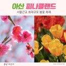 꽃사슴슈퍼 | 아산 피나클랜드 수목원 튤립 벚꽃 봄꽃 축제 기간 할인 불꽃축제까지
