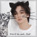 I missed the cat holiday. 이미지