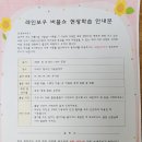 레인보우 버블쇼 이미지