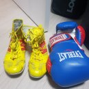 더블B복싱클럽 이미지