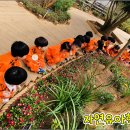 숲유치원 이미지