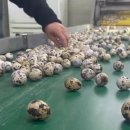 진미농장 이미지