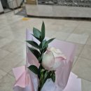 웨딩프로포즈 | 샤르망 뮤지컬웨딩 프로포즈 후기(답프로포즈)