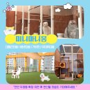 강아지미용실502 이미지