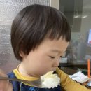 거영유통 | 전남영광보리굴비 밥한끼 뚝딱 거영굴비유통 솔직후기:))