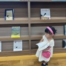 까꿍아기사랑 | 푸름이까꿍 돌아기전집 당근으로 구매한 금액 &amp; 방출 시기 솔직 후기