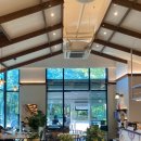 마이서울바이츠(My Seoul Bites) 이미지