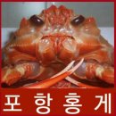 행복장터_홍게 및 각종 건어물 유통 및 판매/경기 용인시 소재 이미지