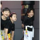 박사태권도 이미지