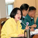 삼천동유원지 강원도민일보
