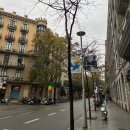 유정이네민박 | 혼자 떠나는 스페인여행기 2탄🇪🇸