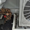 신흥식자재마트 이미지