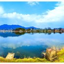 마이제낚시터 이미지