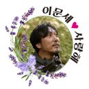 2022 이문세콘서트 Daum카페