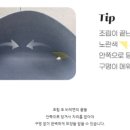 보드미펫 이미지