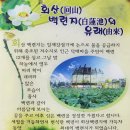 회산백련지 수상유리온실 | (여행후기) 동양 최대 백련 서식지 무안 회산 백련지, 백련 카페