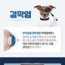 뉴케어 동물병원 이미지