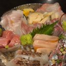 즐거운시간 | 호계동숙성회 입안에서 녹아내리는 숙성회 범계맛집 오루카
