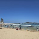 취향마라 마라탕속초점 | 속초 마라탕 현지인 맛집 마라홀릭에서 포장후기